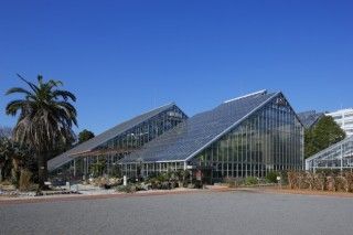 国立科学博物館 筑波実験植物園の写真