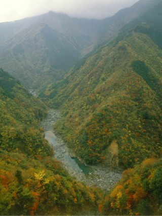 祖谷渓の写真