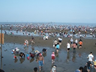 牛込海岸の写真