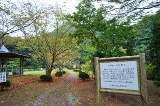 館山野鳥の森の写真
