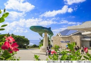 沖縄美ら海水族館の写真