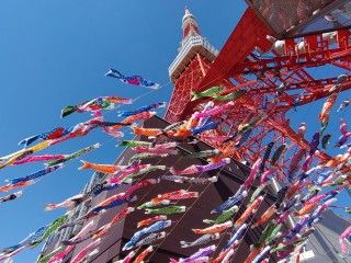 東京タワー 333匹の「鯉のぼり」
