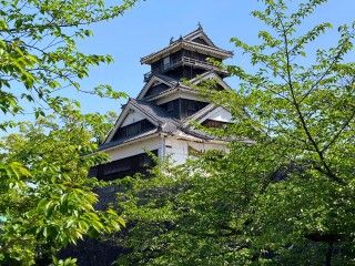 熊本城（銀杏城）の写真
