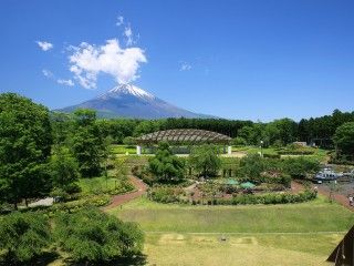 富士山樹空の森の写真