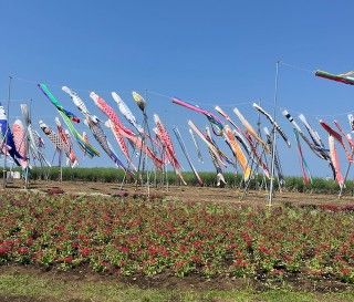 長井海の手公園ソレイユの丘