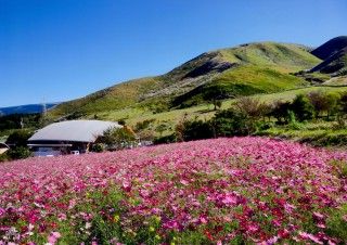 俵山交流館 萌の里