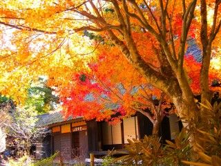 五家荘平家の里の写真