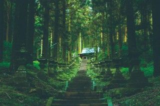 上色見熊野座神社の写真