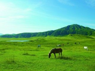 草千里ケ浜の写真