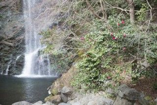 箕面大滝（箕面滝）