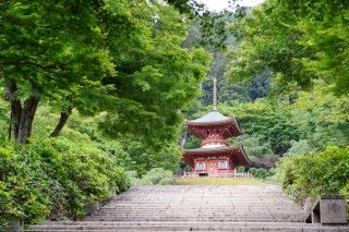 勝尾寺