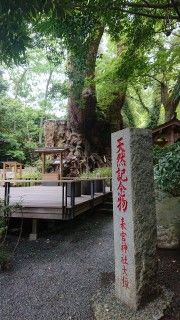 来宮神社