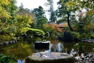 寒川神社の写真