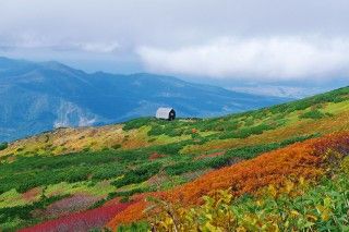 羊蹄山の写真