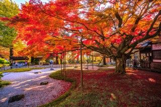 雷山千如寺大悲王院