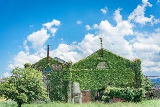 遠賀川水源地ポンプ室