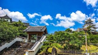 掛川城の写真