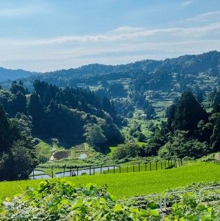 山古志の棚田・棚池