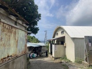 よつば荘バンガロー村