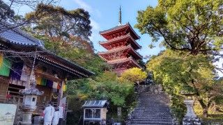 五台山 竹林寺の写真