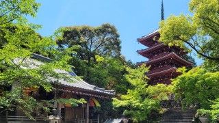 五台山 竹林寺