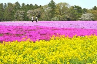 富田さとにわ耕園