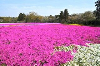 富田さとにわ耕園