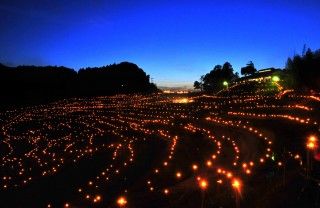 大山千枚田