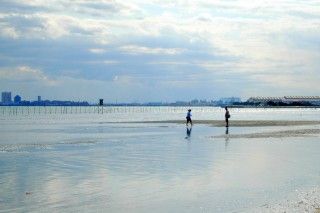 ふなばし三番瀬海浜公園