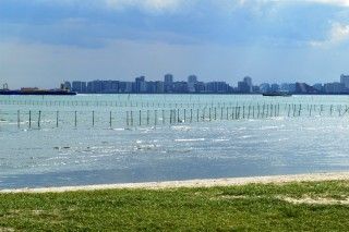 ふなばし三番瀬海浜公園