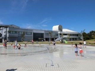 ふなばし三番瀬海浜公園の写真