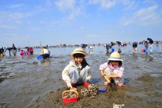 富津海岸の写真