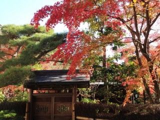 成田山公園