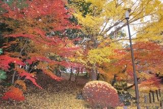 成田山公園