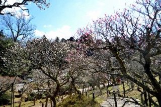 成田山公園