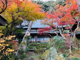 本土寺