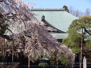 東漸寺