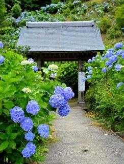 麻綿原高原 天拝園の写真