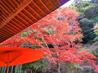 小松寺