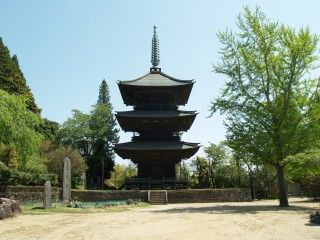 芝山仁王尊 観音教寺