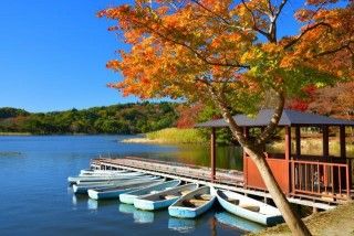 南湖公園の写真