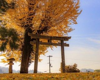 御勝八幡宮の写真