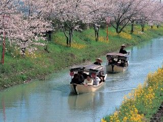 近江八幡水郷めぐり