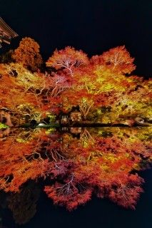 平出山 宝蔵寺