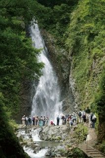 白神山地