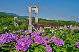 県立秦野戸川公園