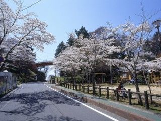 松ヶ岡公園の写真