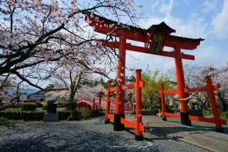 涼ヶ岡八幡神社の写真