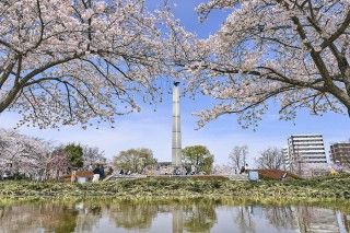 開成山公園の写真