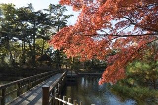 須賀川牡丹園